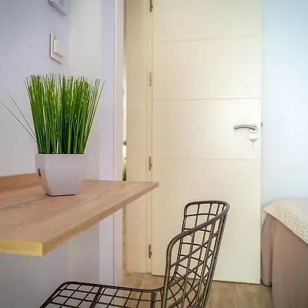Guest house Petit Congress 4*