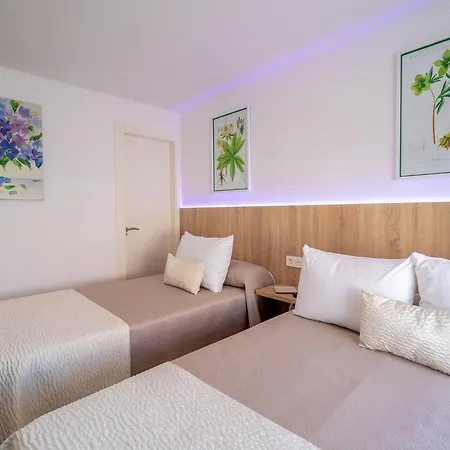 Petit Congress Guest house Malaga